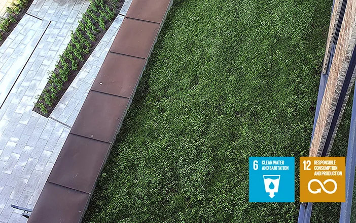 Responsible management of water resources and sanitation